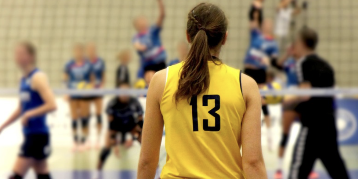 Deutsche Internationale Schule Den Haag Volleyball